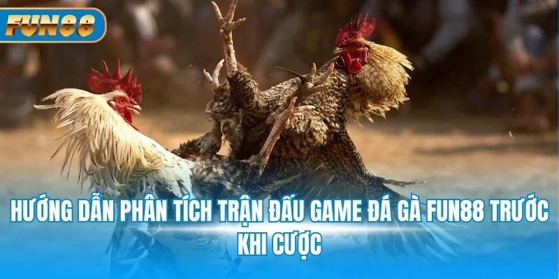 Đá Gà Fun88 Hướng dẫn phân tích trận đấu game đá gà Fun88 trước khi xuống tiền